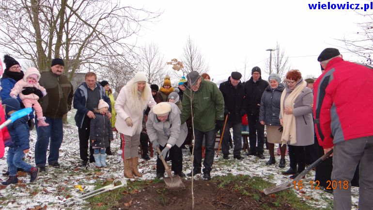 seniorzy - mieszkańcy Wielowicza sadzą drzewo - dąb niepodległości